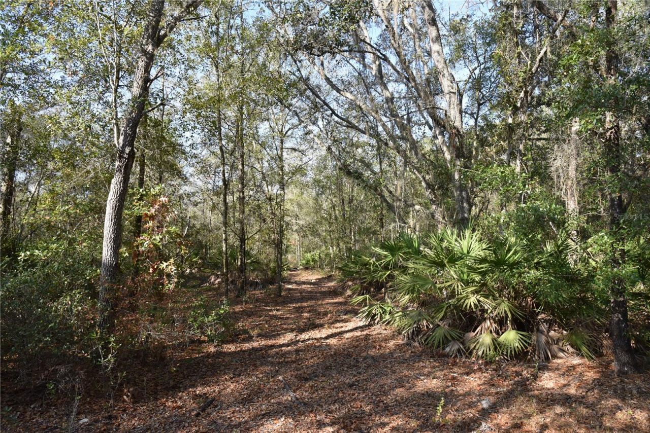 81 Clouds Ave, Interlachen, FL 32148 Photo