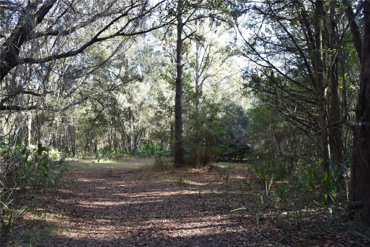 81 Clouds Ave, Interlachen, FL 32148 Photo