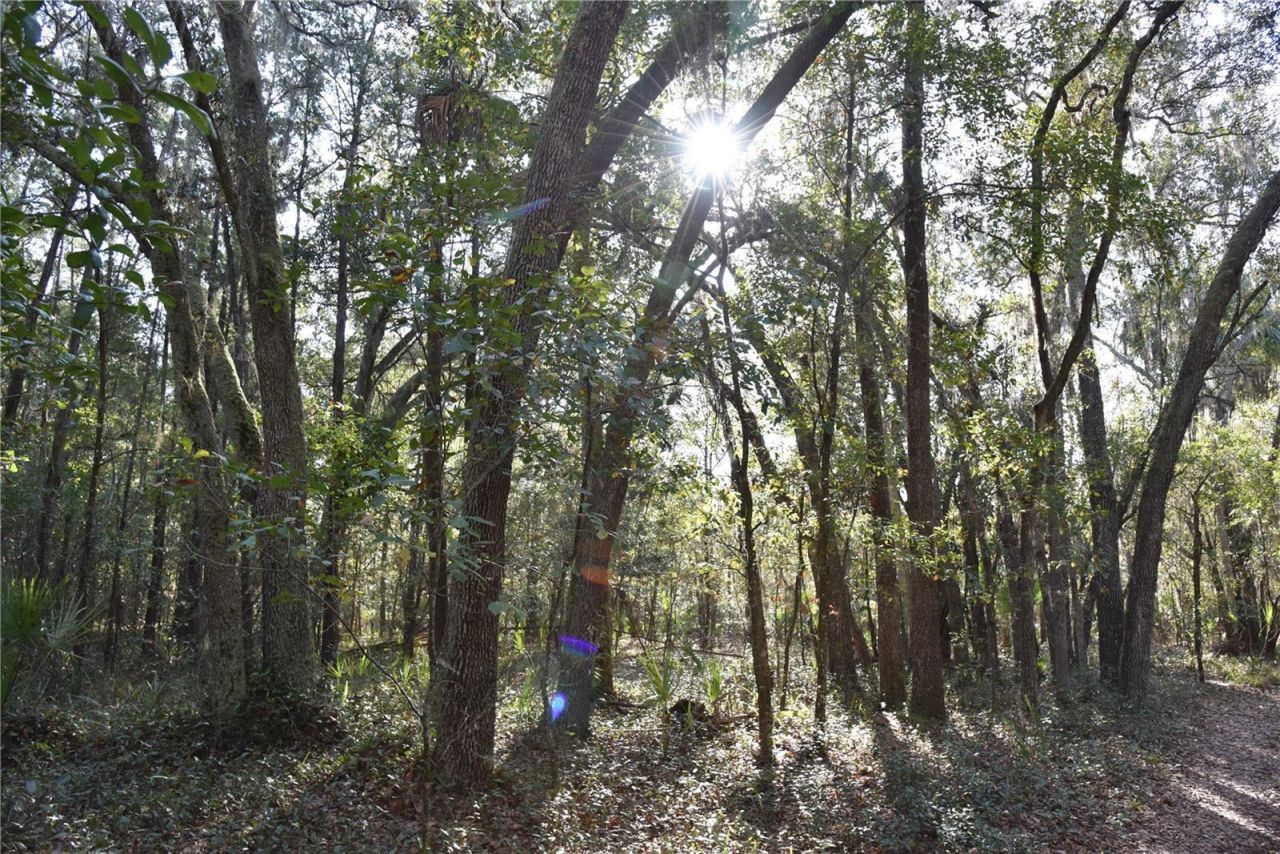 81 Clouds Ave, Interlachen, FL 32148 Photo