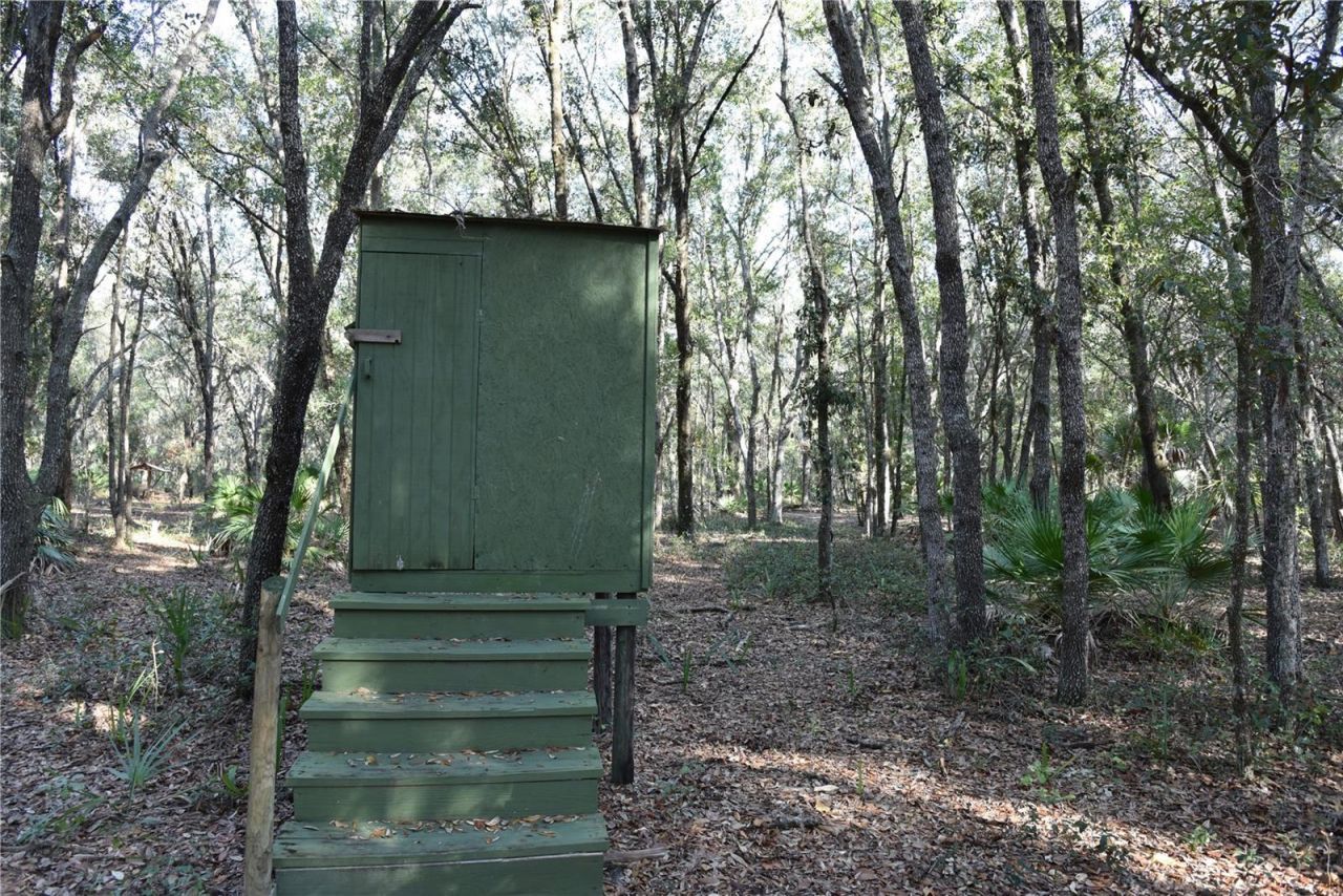 81 Clouds Ave, Interlachen, FL 32148 Photo