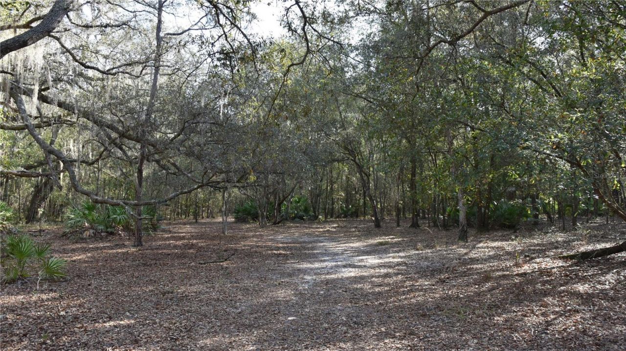 81 Clouds Ave, Interlachen, FL 32148 Photo