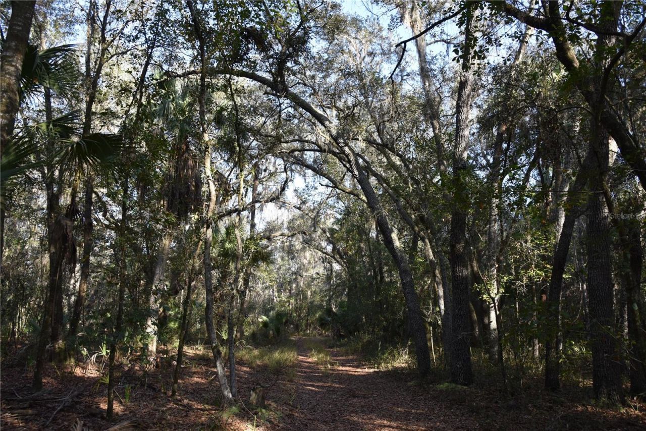 81 Clouds Ave, Interlachen, FL 32148 Photo