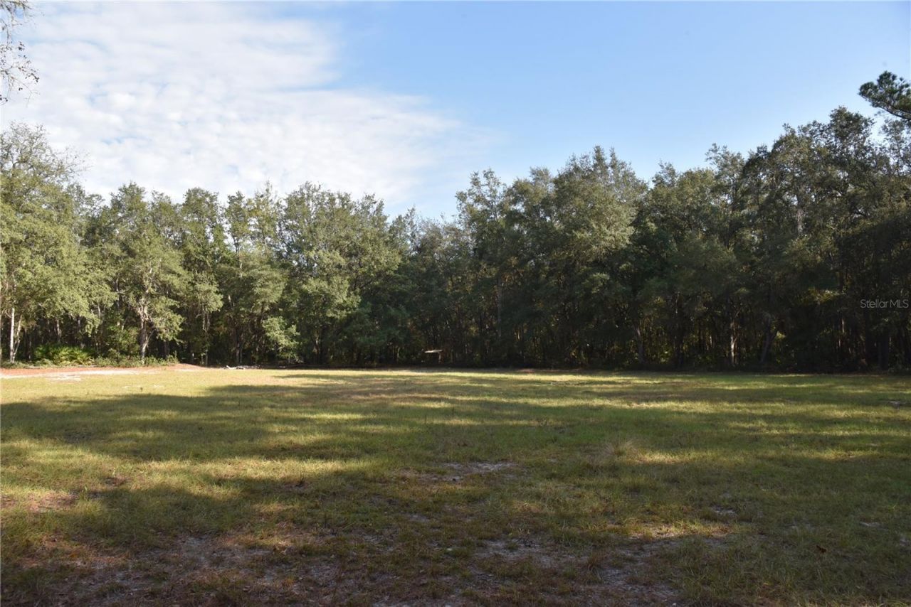 81 Clouds Ave, Interlachen, FL 32148 Photo