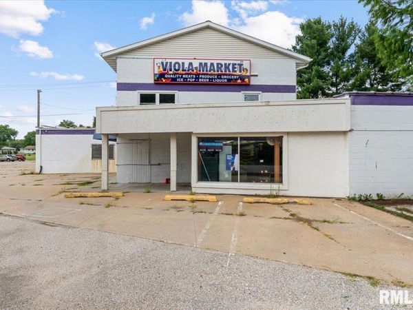 1103 17TH Avenue, Viola, IL 61486