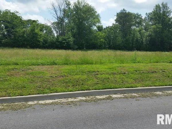 Lot 2 FINANCIAL, Carbondale, IL 62901