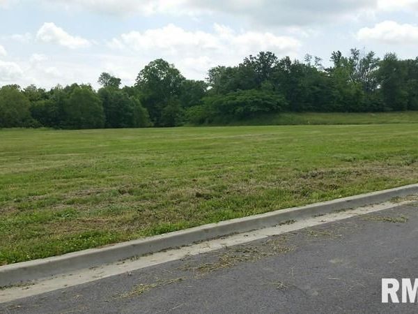 Lot 13 FINANCIAL Loop, Carbondale, IL 62901