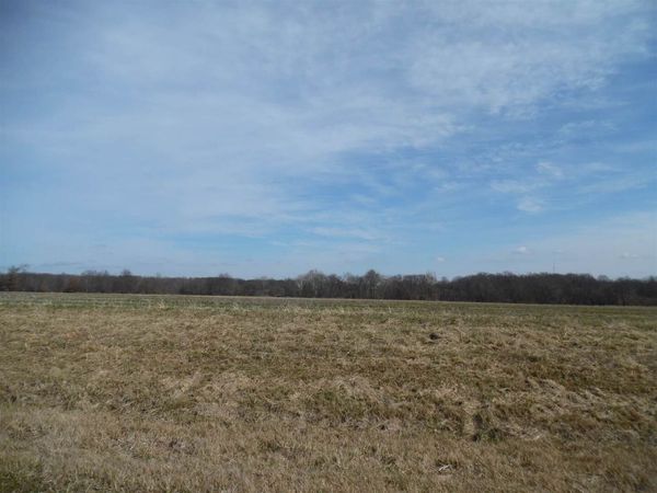 Tract 2 N McDermott Lane, Mt Vernon, IL 62864