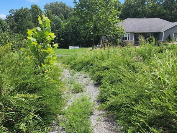 85 Maggie Lane, Makanda, IL 62958