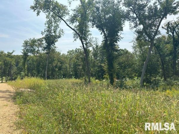 Lot 1 225TH Street, Dewitt, IA 52742