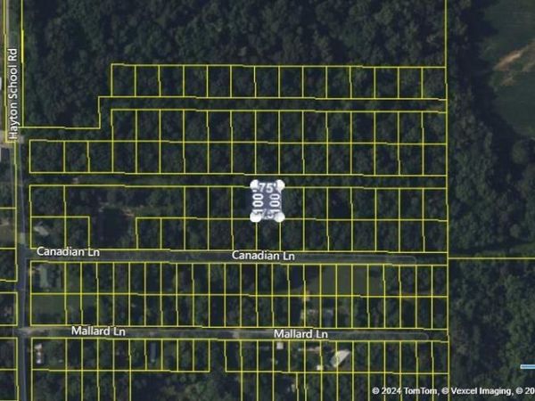 tbd MALLARD Drive, IL 62918