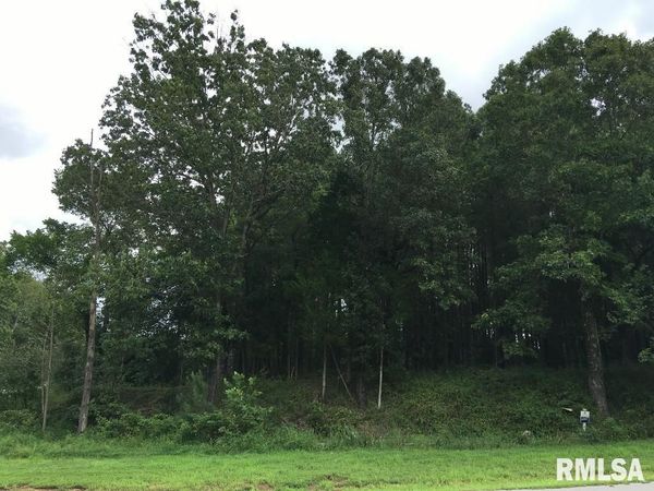 lot 287 Parrish Ridge Lane, Goreville, IL 62972