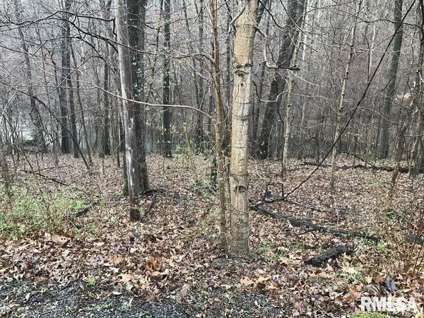 00 DEER RIDGE Road, Goreville, IL 62939