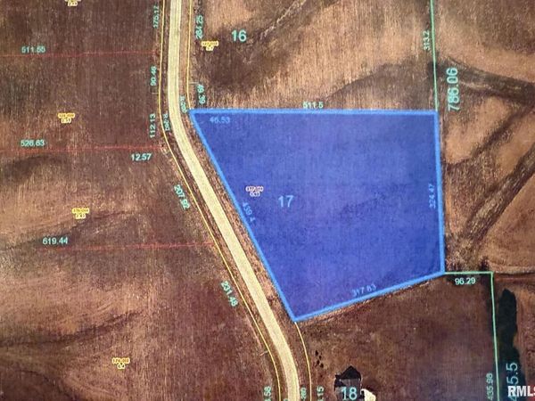 2321 Olof Krans Avenue, Galva, IL 61434