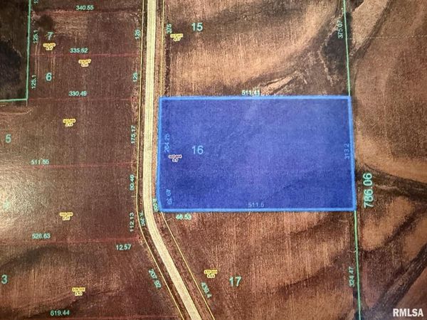 2439 Olof Krans Avenue, Galva, IL 61434