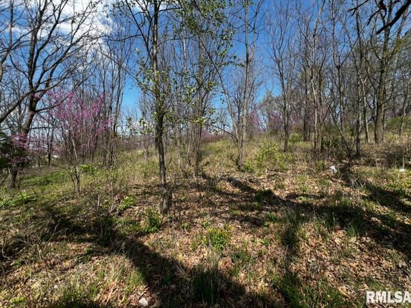 LOT 201 JAMES Street, Port Byron, IL 61256