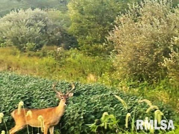 0000 Campbells Corner Road, Mcleansboro, IL 62859