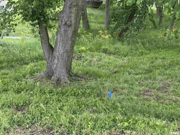 000 W DOUGLAS Street, Marion, IL 62959