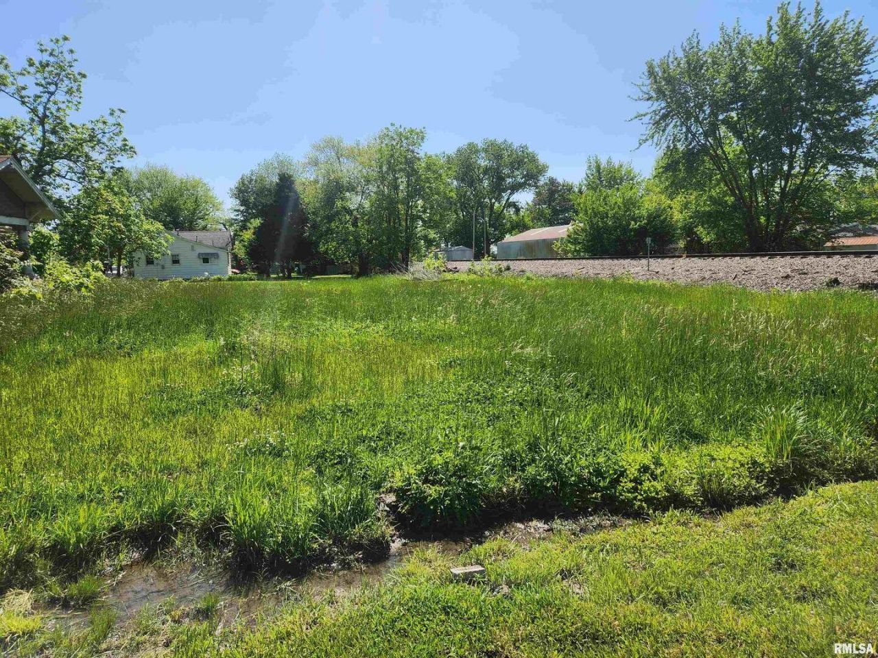 0000 N 4th Street, Ashley, IL 62808 Main Photo