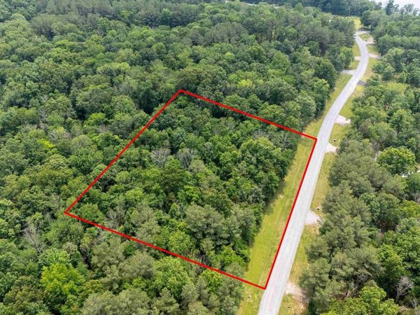 lot 411-412 Parrish Ridge Road, Goreville, IL 62939