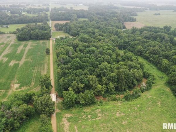 TBD S US 45 Road, Brookport, IL 62910