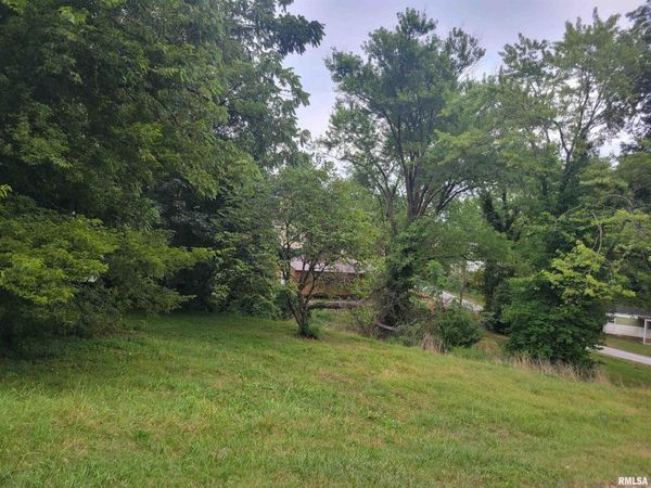 TBD J Street, Jonesboro, IL 62952