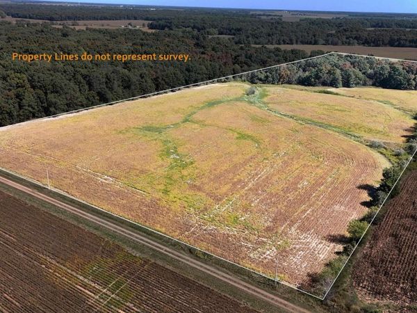 000 E Tallowtree Drive, Xenia, IL 62899