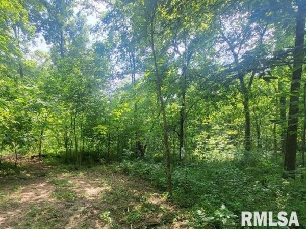 1252 IL-15 Highway, Fairfield, IL 62837