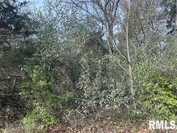 Lot 177 SYCAMORE Street, Goreville, IL 62939