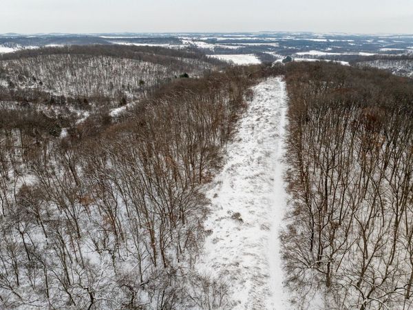 0 N Elizabeth Scales Mound Road, Elizabeth, IL 61028