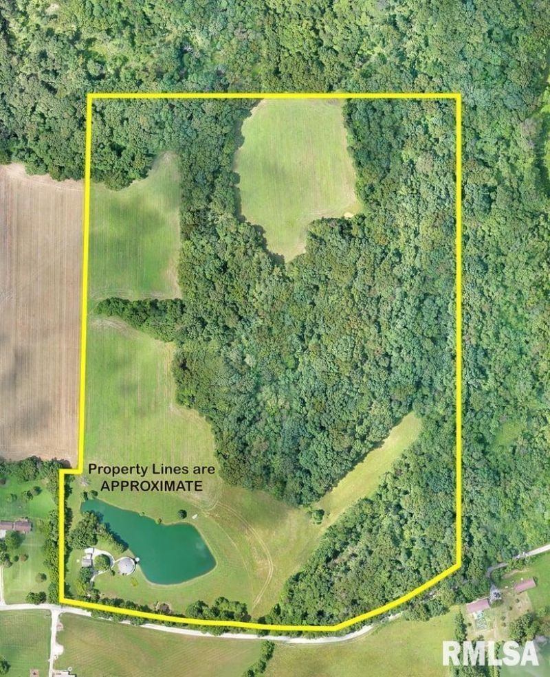 14290 E WINDSONG Road, Mt Vernon, IL 62864