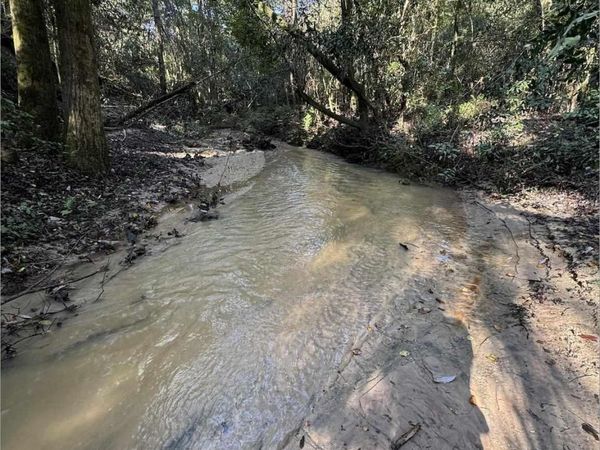 108+/- acres Wiley Scott Rd, Jay, FL 32565