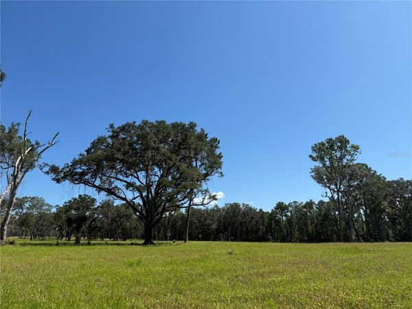 DO #6 (24ac) NW 193RD ST, MICANOPY, FL 32667