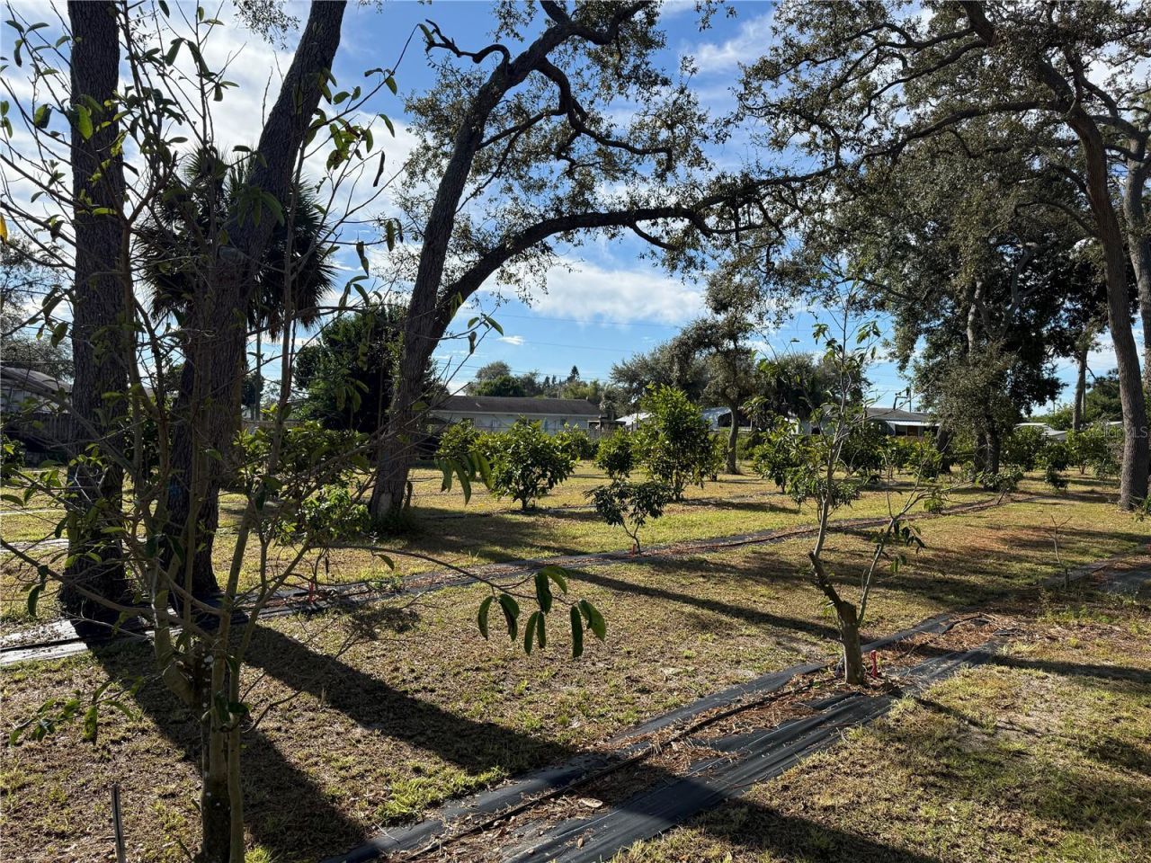 4104 N Us Highway 1, Melbourne, FL 32935 Photo