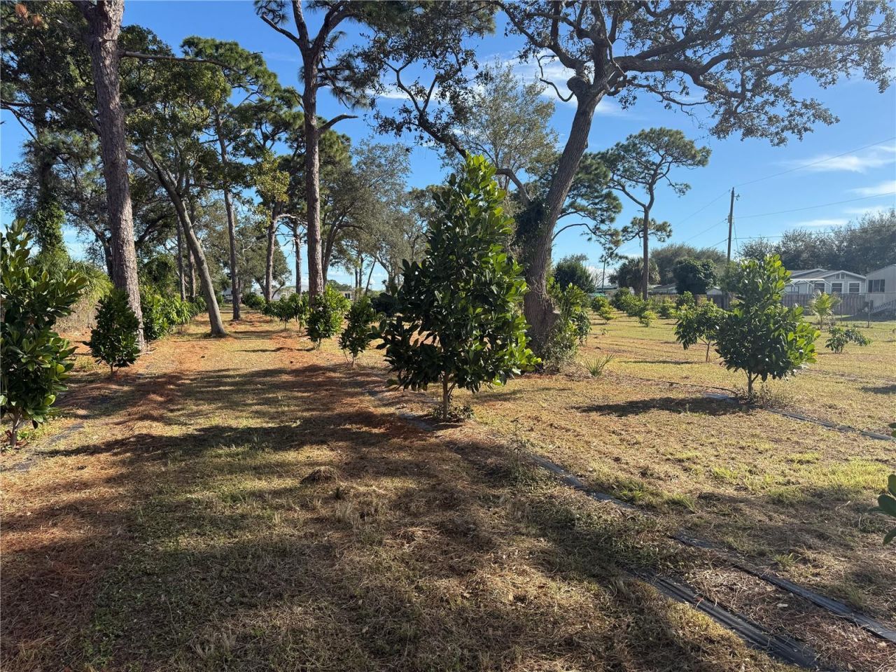 4104 N Us Highway 1, Melbourne, FL 32935 Photo