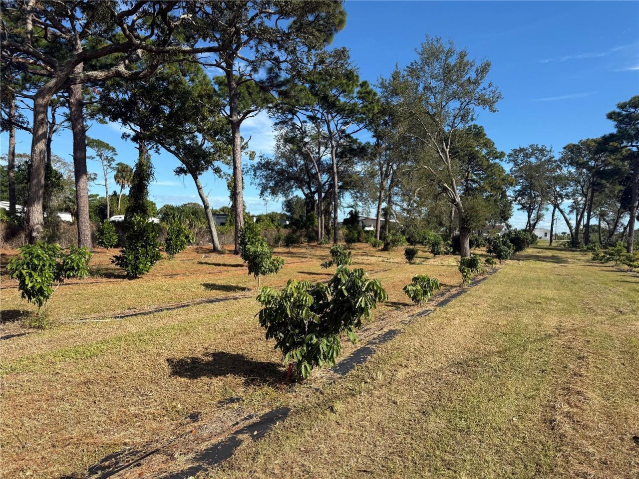 4104 N Us Highway 1, Melbourne, FL 32935 Photo