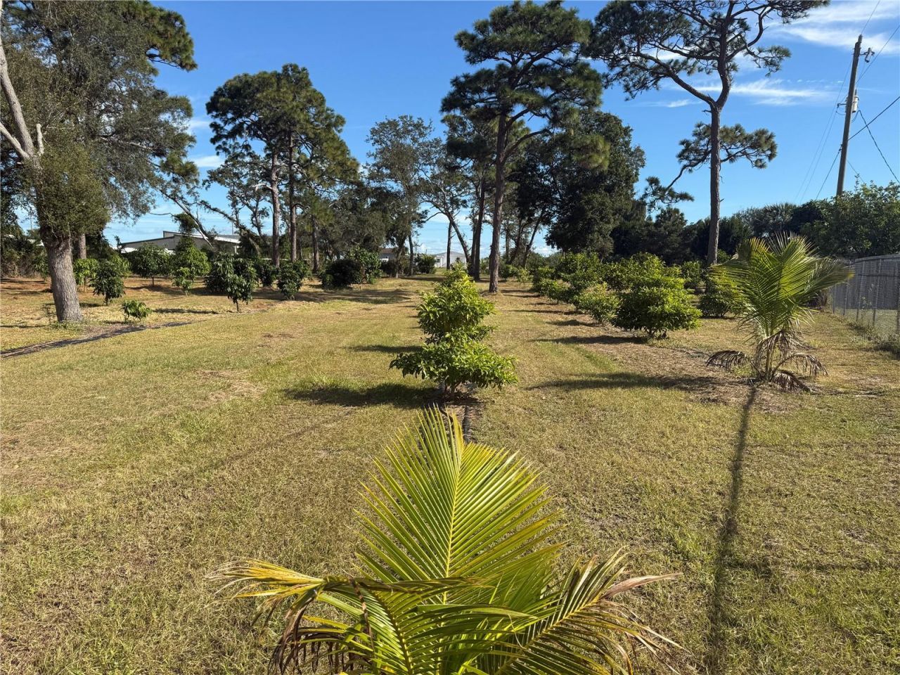 4104 N Us Highway 1, Melbourne, FL 32935 Photo