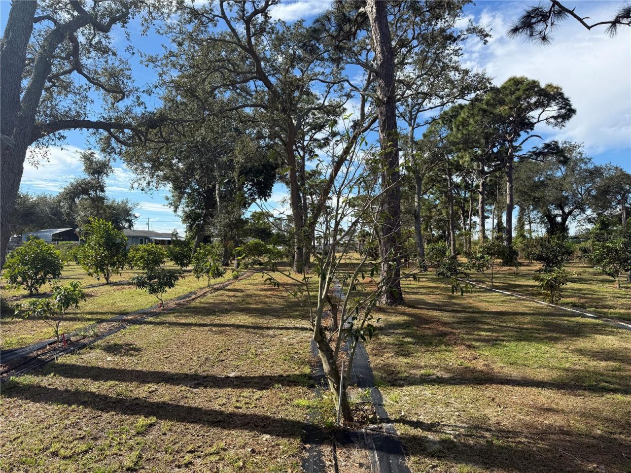 4106 N Us Highway 1, Melbourne, FL 32935 Photo