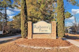 1253 Rabon Pond Drive photo 4