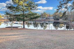 1253 Rabon Pond Drive photo 4