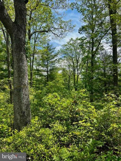 16 Beech Creek Mountain Road, Beech Creek, PA 16822 Main Photo