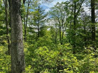 16 BEECH CREEK MOUNTAIN ROAD, BEECH CREEK, PA 16822