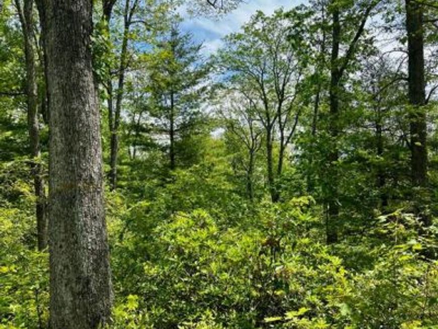 16 Beech Creek Mountain Road, Beech Creek, PA 16822 Main Photo