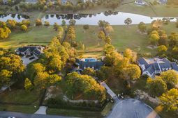 409 Chestnut Brown Court photo 4