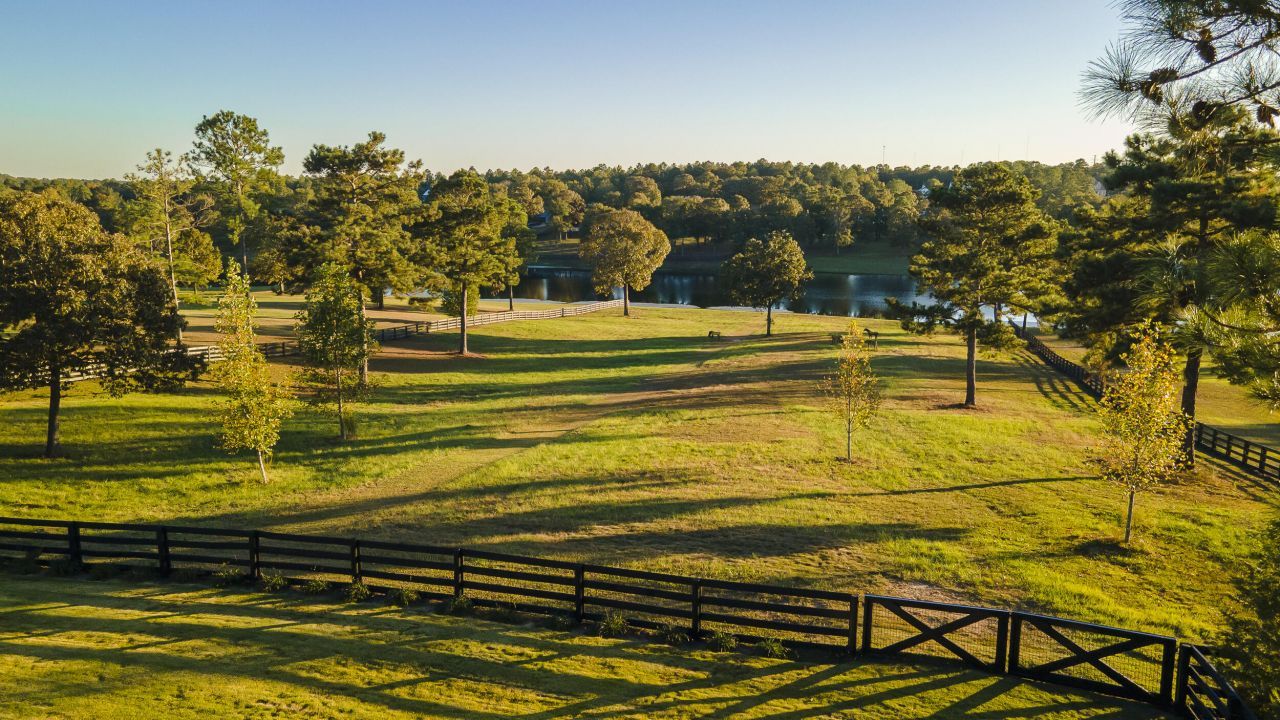 409 Chestnut Brown Court Photo 6