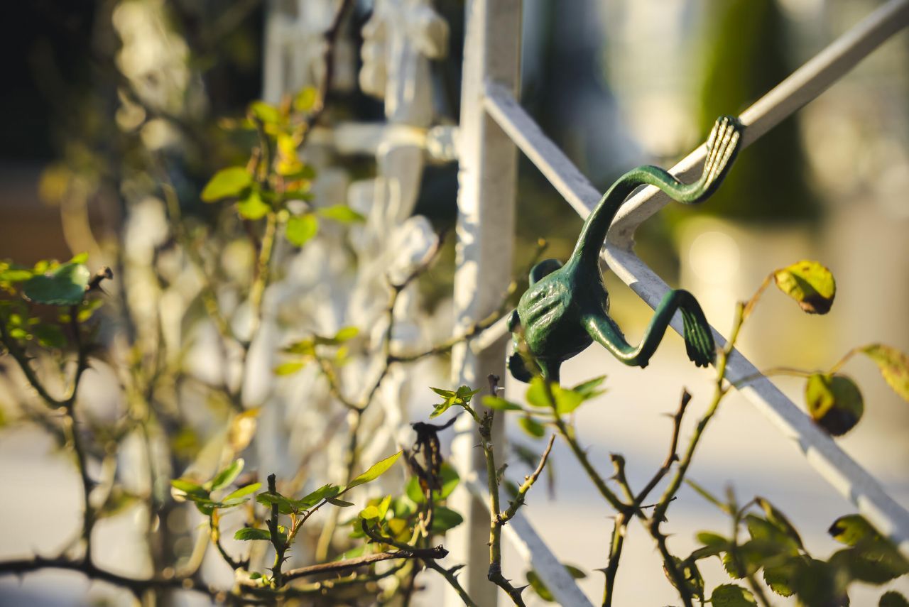 409 Chestnut Brown Court Photo 72