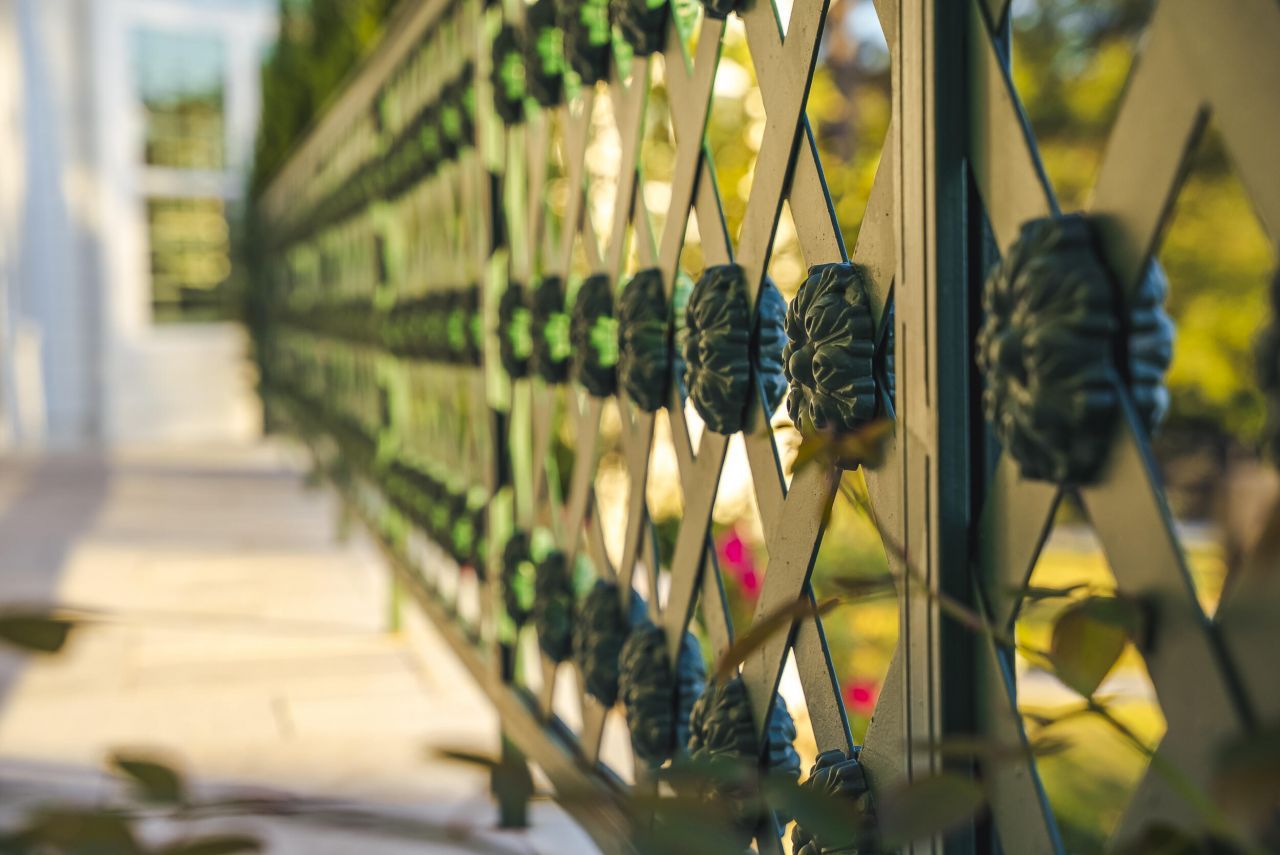 409 Chestnut Brown Court Photo 81