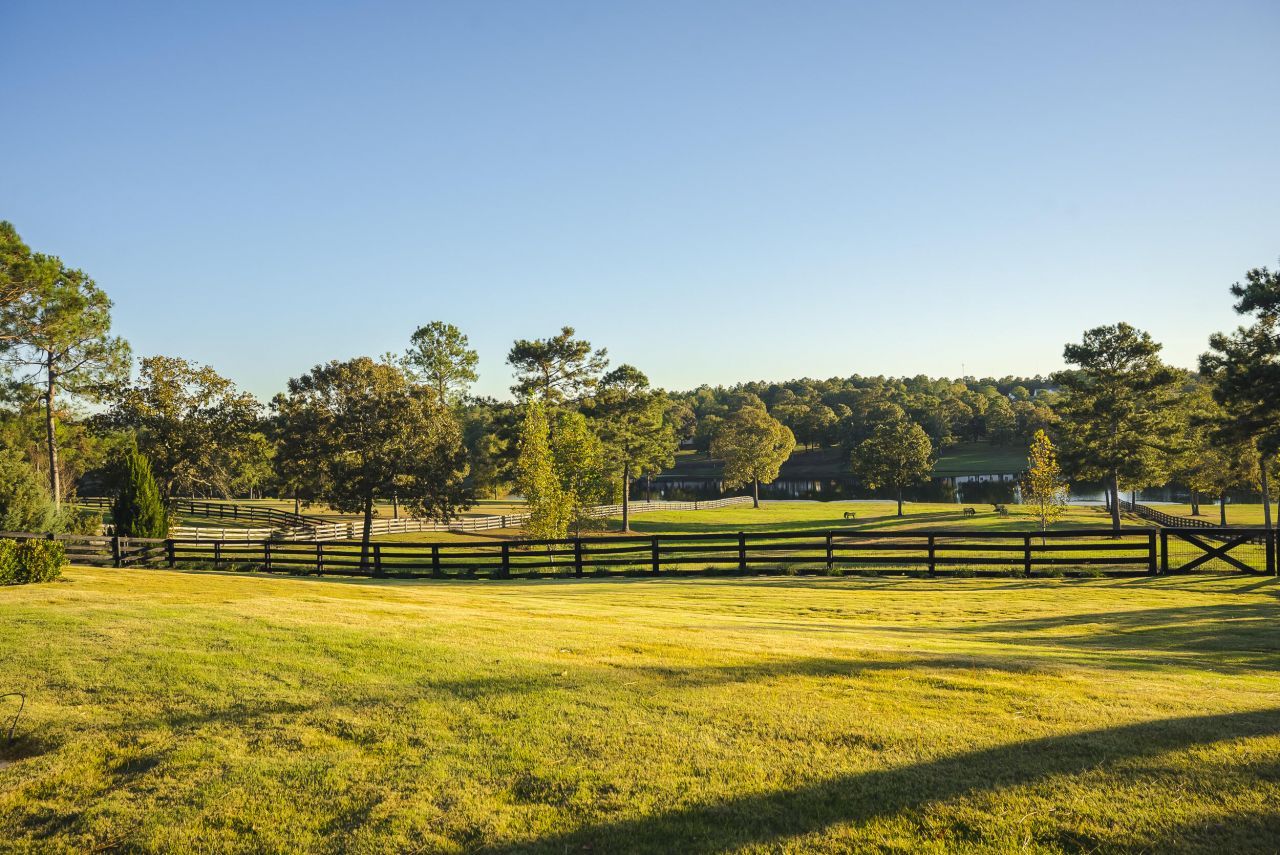 409 Chestnut Brown Court Photo 83