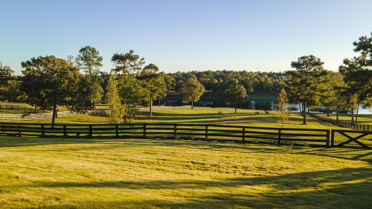 409 Chestnut Brown Court Photo 84