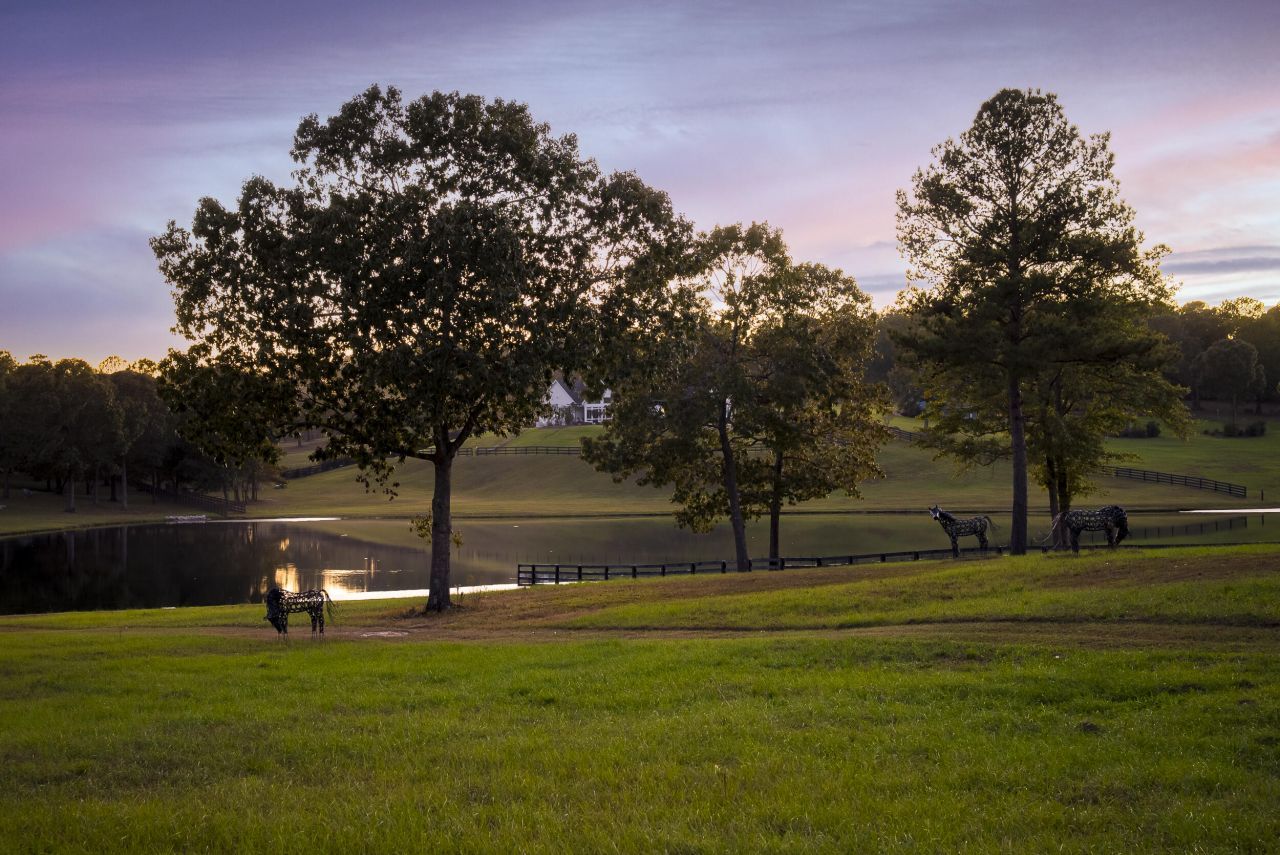 409 Chestnut Brown Court Photo 87