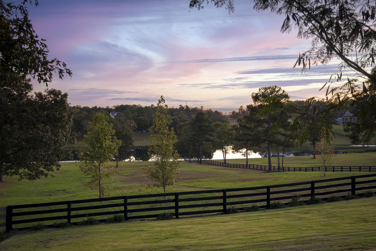 409 Chestnut Brown Court Photo 88